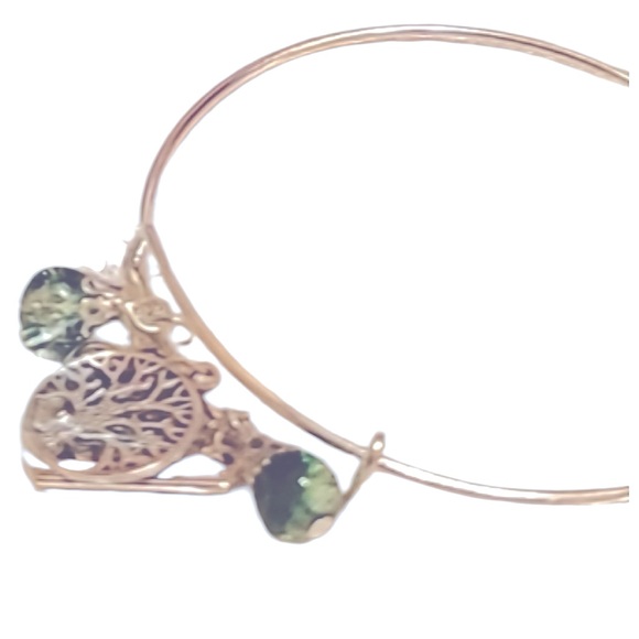 SILVER Charm Bracelet Bangle adjustable with Family charms NEW - Picture 3 of 5